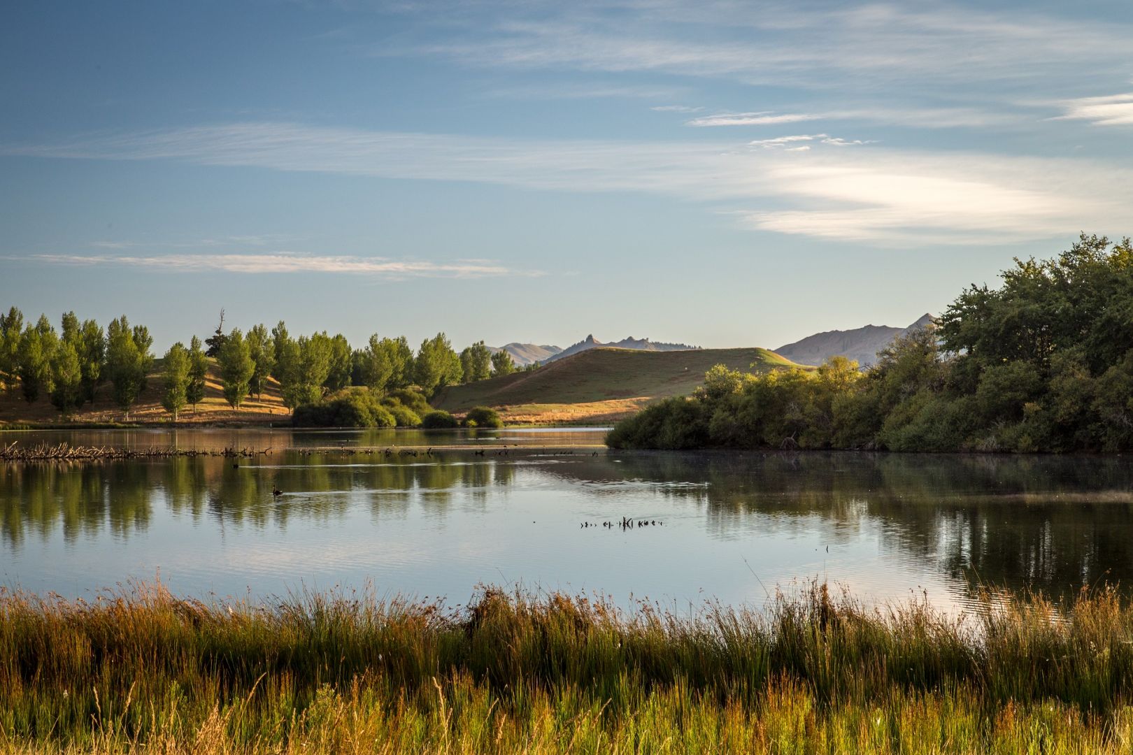 Mangarara Farm Landscape Image